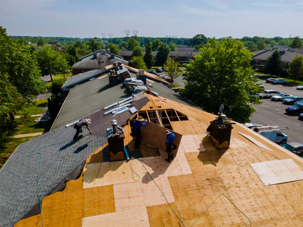 Best Slate Roofing Contractor  in Cadillac, MI