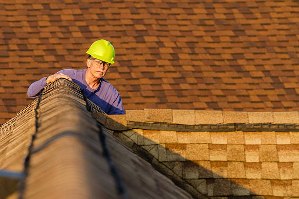 Best Roof Gutter Cleaning  in Cadillac, MI