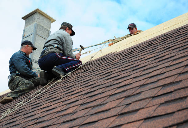 Best Affordable Roofing Company  in Cadillac, MI